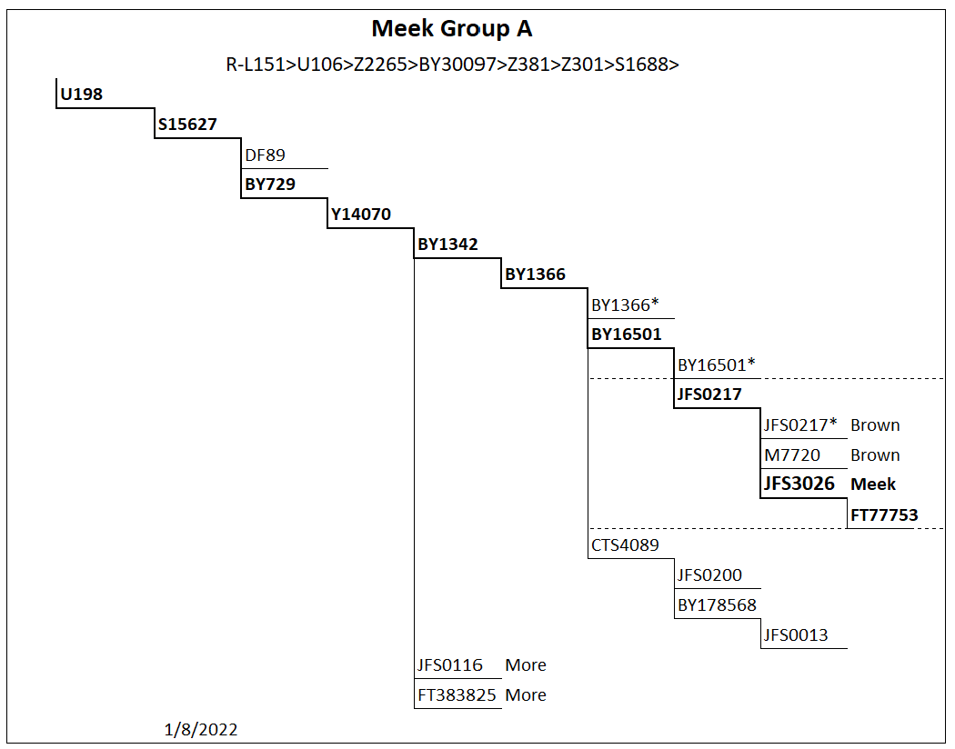 Group A Haplogroup Group A tree