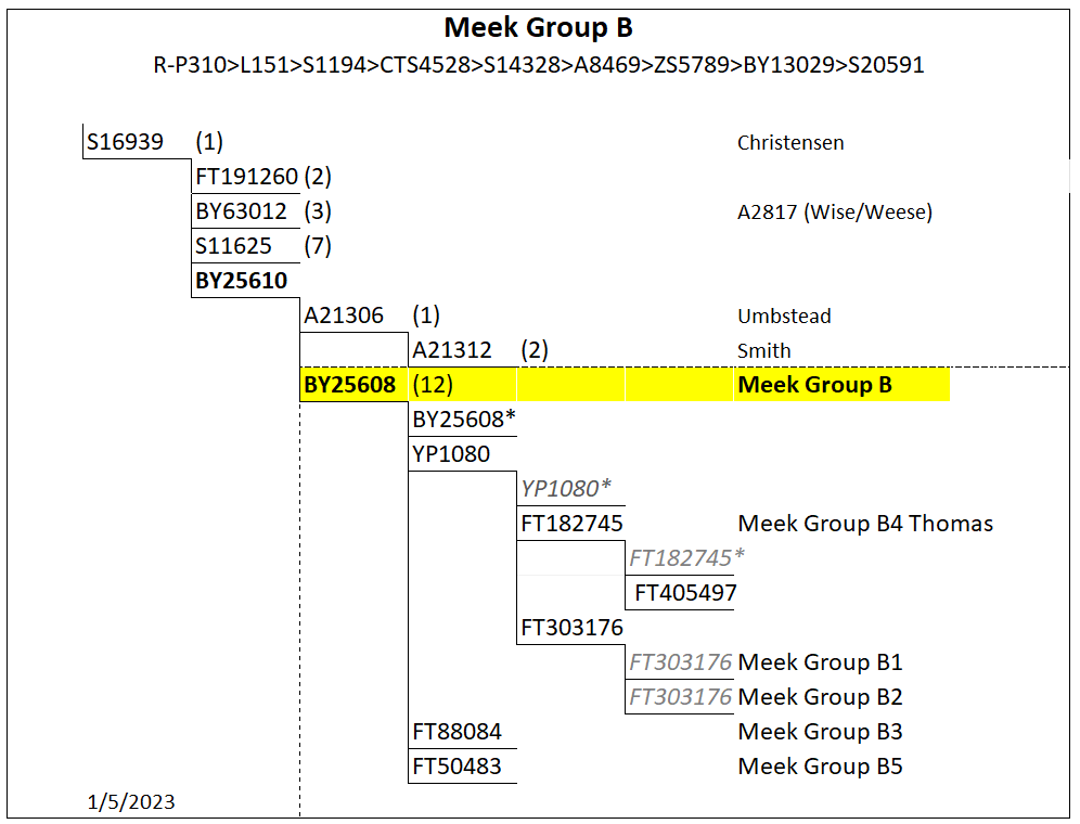 Group B Haplogroup Group B tree