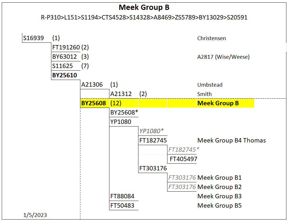 Group B tree