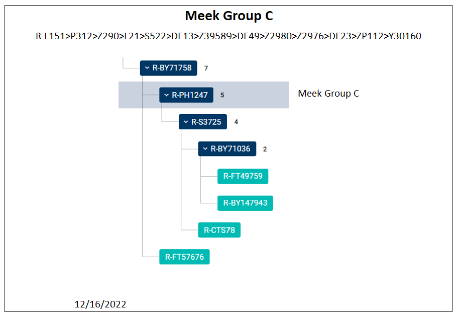 Group C Haplogroup Group C tree