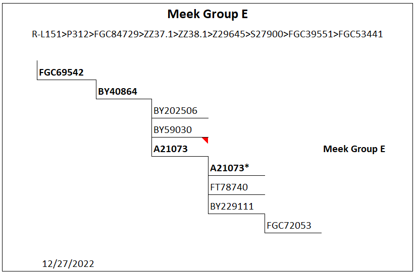 Group E Haplogroup Group E tree