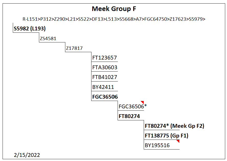 Group F Haplogroup Group F tree