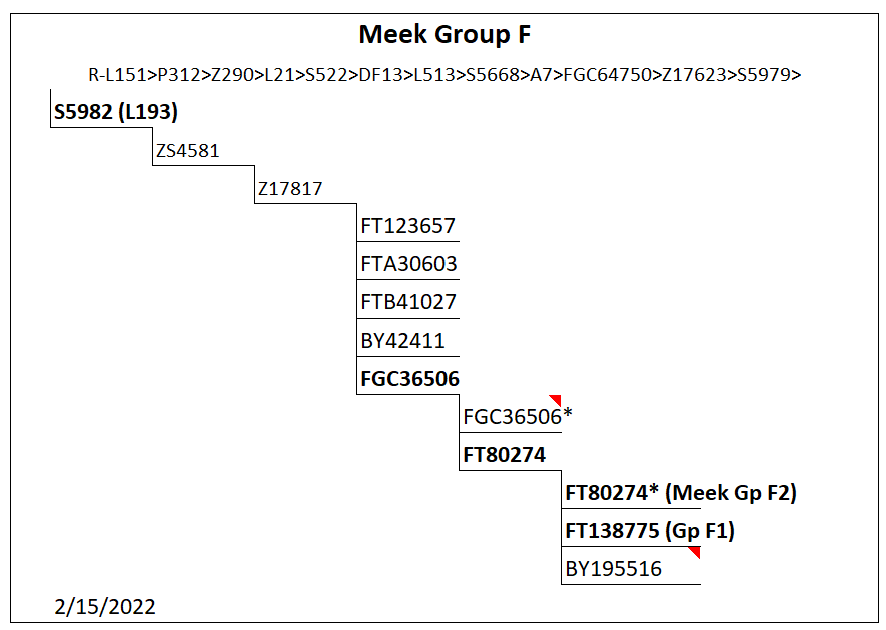 Group F tree